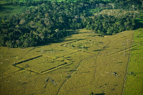 Aerial view of human-made earthwork