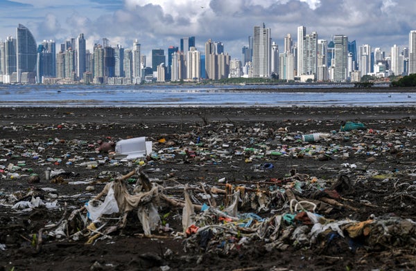 Garbage, including plastic waste, is seen at the beach in Costa del Este with Skyline in background