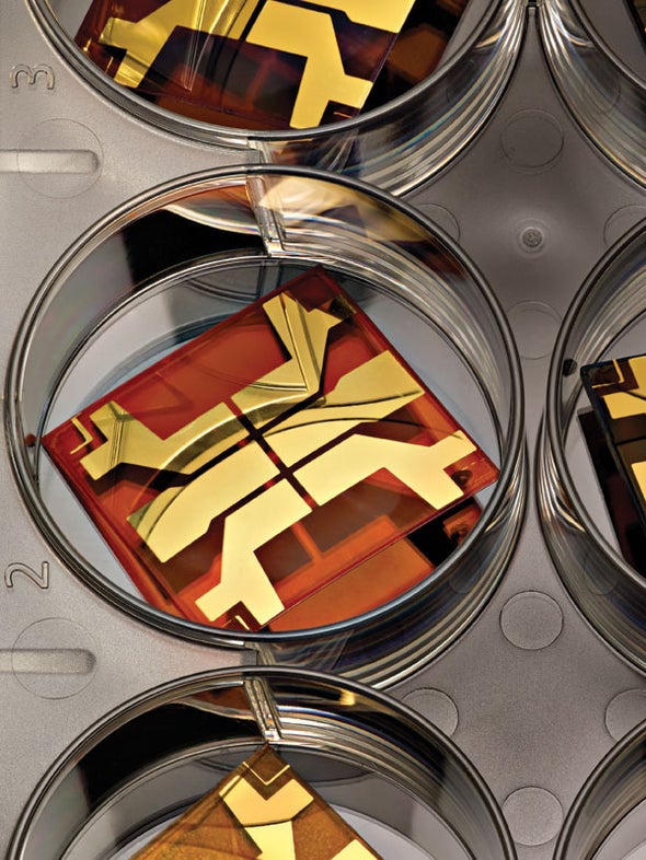 Perovskite Solar Cells Could Beat the Efficiency of Silicon