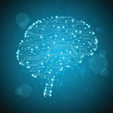 Human brain project scientific american book