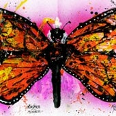 Monarch Butterfly: