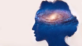 Does Consciousness Pervade the Universe?