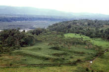 Ancient Amazon Civilization Developed Unique Form of 'Garden Urbanism'