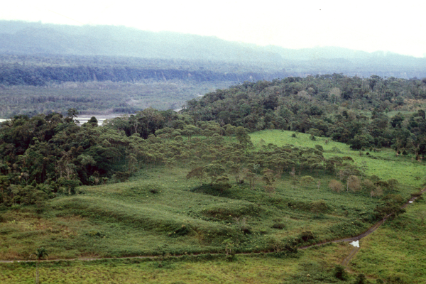 Hilly green landscape