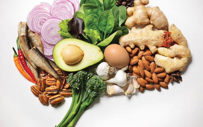 science diet brain diet