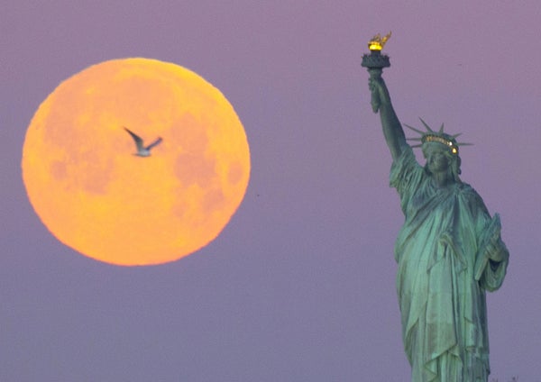 A bird flies in front of a supermoon setting behind The Statue Of Liberty