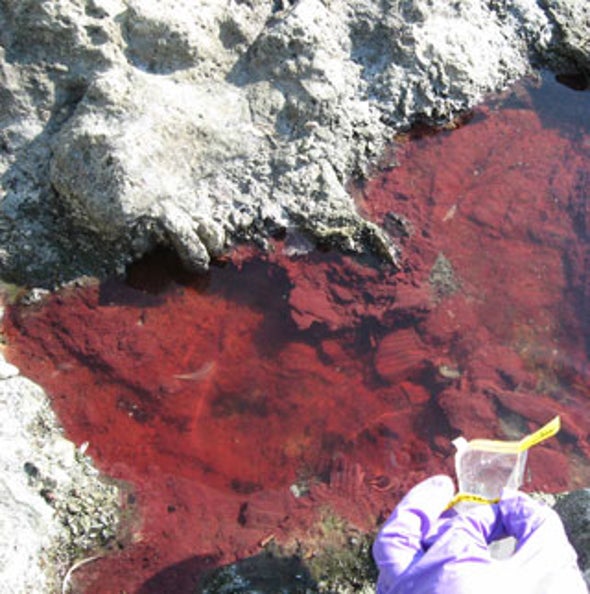 Using a Poison to Turn Sunlight into Food