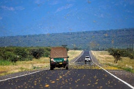 "Unprecedented" Locust Invasion Approaches Full-Blown Crisis