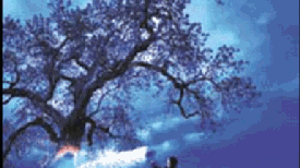 Frozen <em>Light</em>