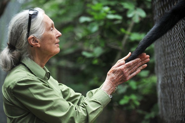 Jane Goodall, Still Traveling the World and Speaking Up for Animals at 83 - Scientific American