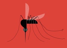Gene Drives Could Fight Malaria and Other Global Killers but Might Have Unintended Consequences