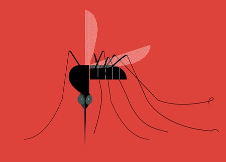 Mosquito, ready to bite, on a red background