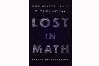 A Theory with No Strings Attached: Can Beautiful Physics Be Wrong? [Excerpt]