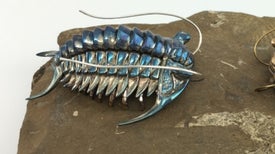 3-D Printed Trilobites