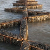BLOCKS AND BOOMS:
