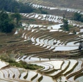 LANDSCAPE ECOLOGY AND ECOSYSTEMS SECTION WINNER: