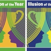 Illusion of the year