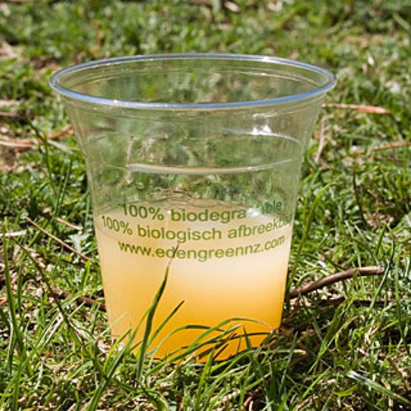 The Environmental Impact of CornBased Plastics Scientific American