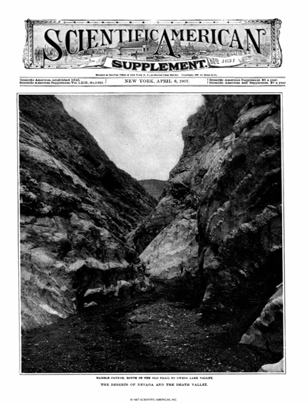 SA Supplements Vol 63 Issue 1631supp