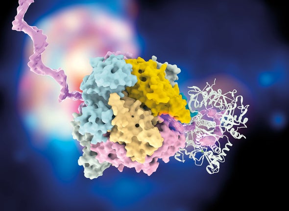 Research Roundup: Extracellular RNA