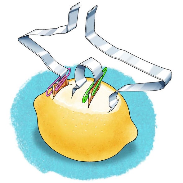 Generate Electricity With A Lemon Battery Scientific American Generate Electricity With A Lemon Battery