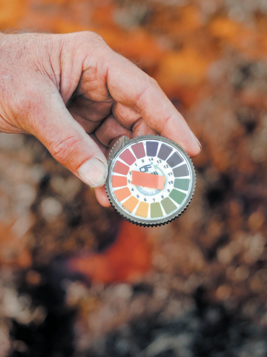 A hand holding a curricular plastic container with pH color scale.