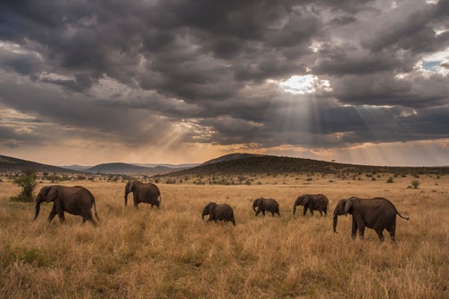 The Best of Africa's Science, Scenery and Serenity - Scientific American