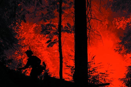 2020's August Complex Fire devastated California forests.