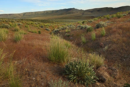 A landscape view of the mountains of Thacker Pass.