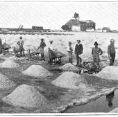 Labor and Salt: