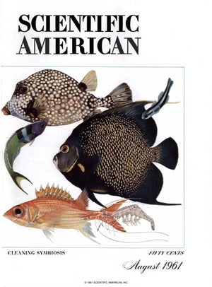 Scientific American Magazine Vol 205 Issue 2