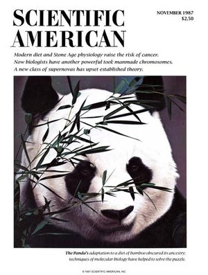 Scientific American Magazine Vol 257 Issue 5