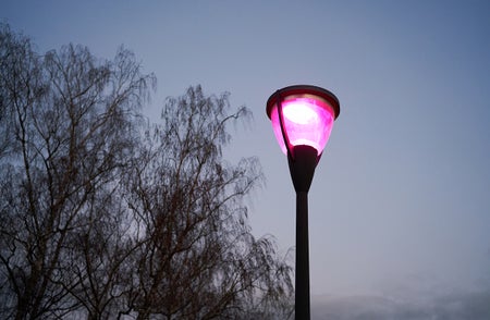 Purple streetlamp