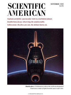 Scientific American Magazine Vol 261 Issue 5