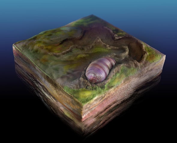Tiny Wormlike Creature May Be Our Oldest Known Ancestor