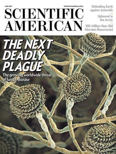Scientific American Volume 324, Issue 6