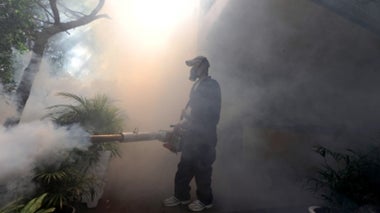 How Zika Spiraled Out of Control