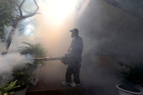 How Zika Spiraled Out of Control