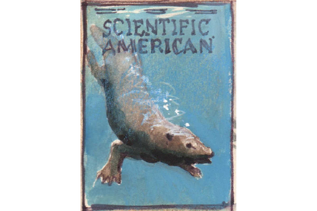 How Early Mammals Evolved for Success | Scientific American