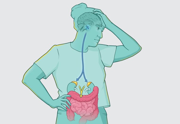 Graphic shows a human figure with an arrow leading from the pituitary gland in the brain to adrenal glands on the kidneys. Additional arrows lead from the adrenal glands to the intestines.