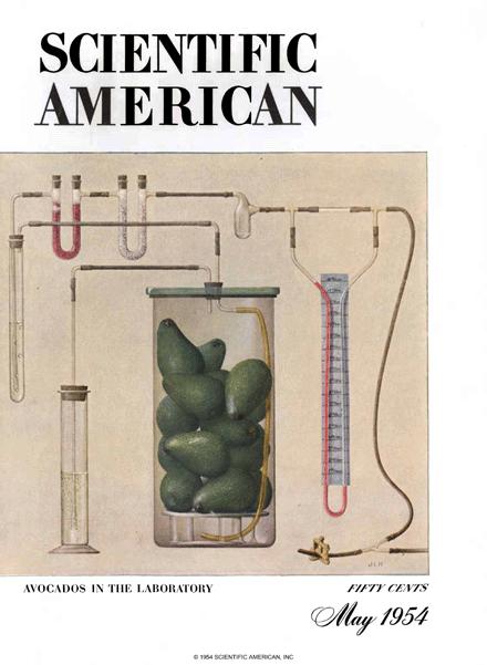Scientific American Magazine Vol 190 Issue 5