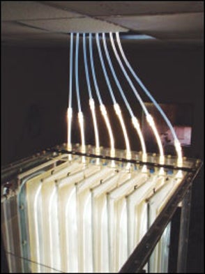 Back-Channel Chatter