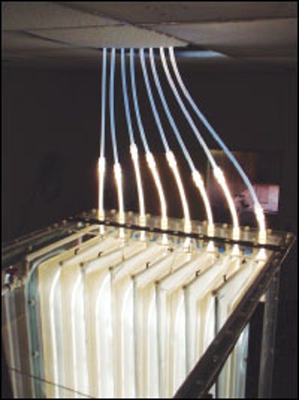 Back-Channel Chatter