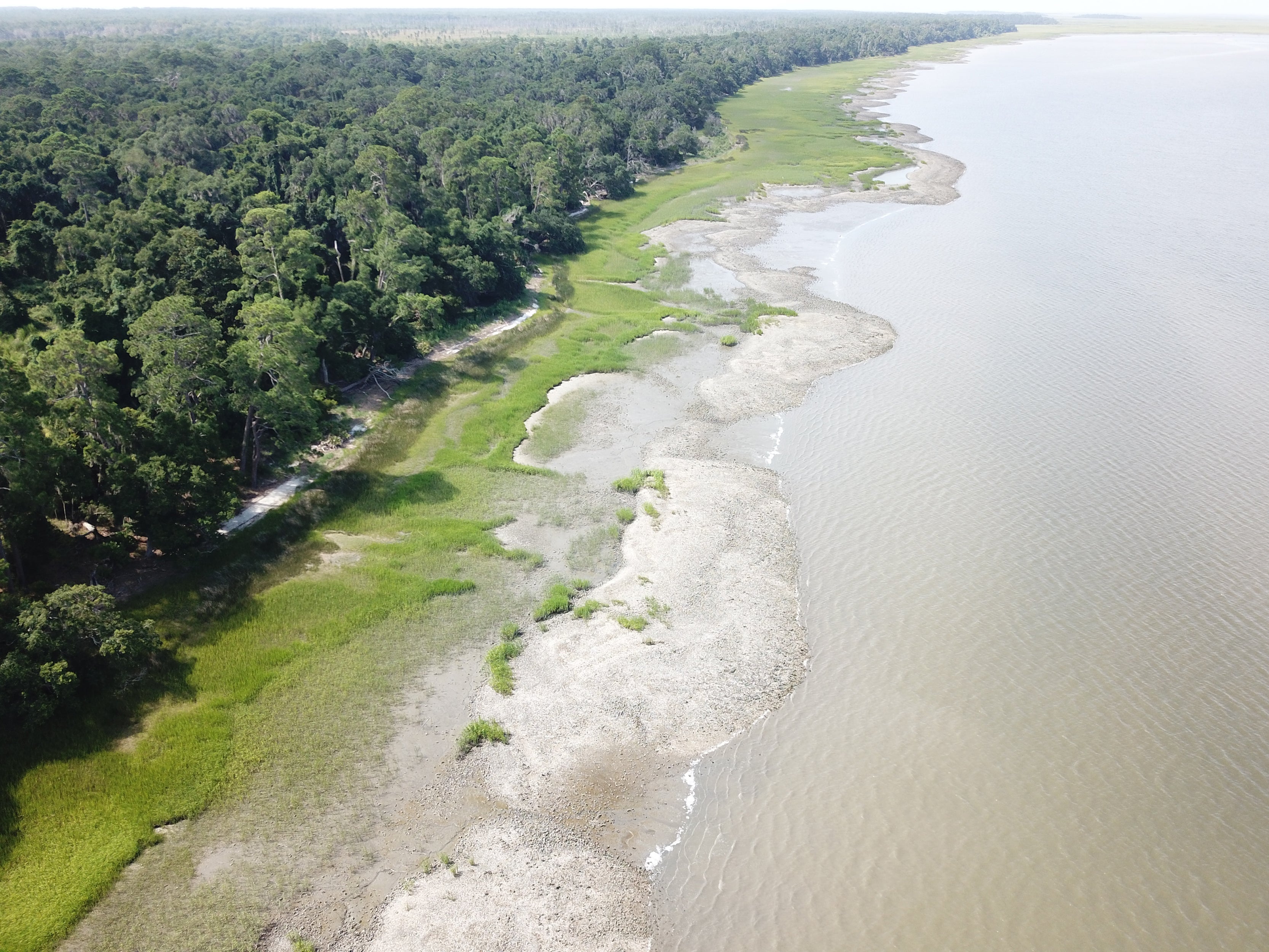 For Sustainable Oyster Harvesting, Look to Native Americans’ Historical Practices