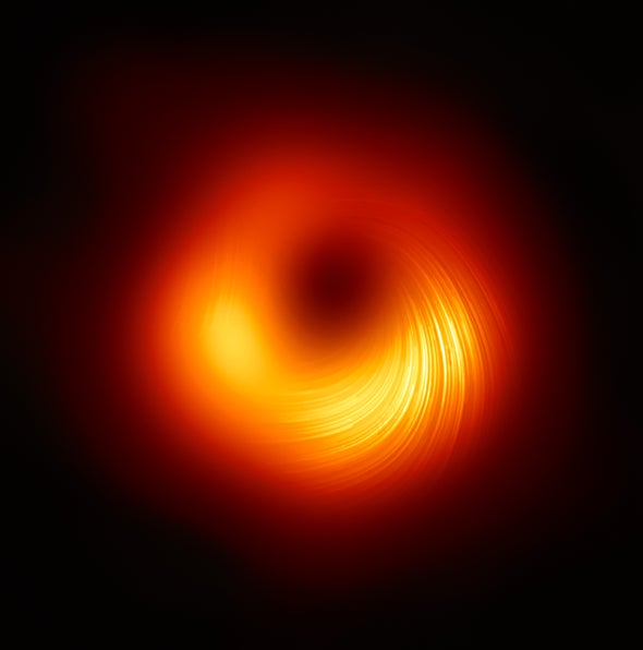 第一次绘制出黑洞周围的磁场图