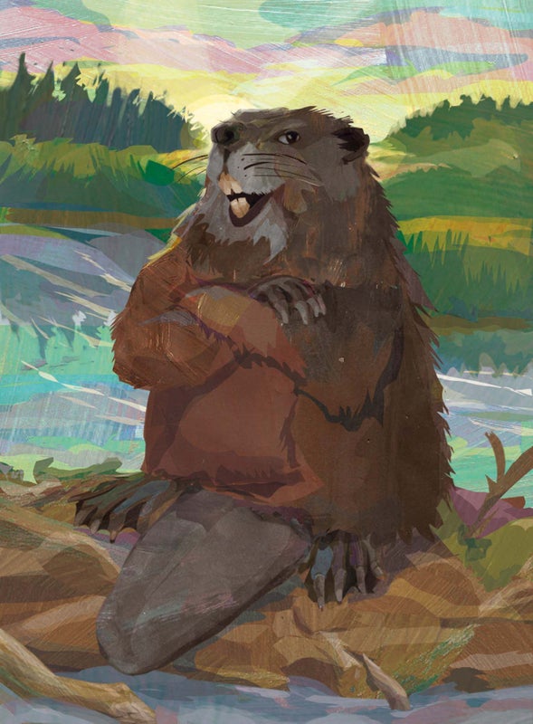 How Beavers Shaped America, from Capitalism to Climate Change