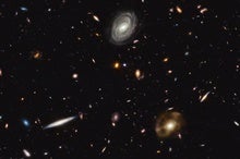 JWST Finds Strange Harmony in Early Galaxies and Black Holes