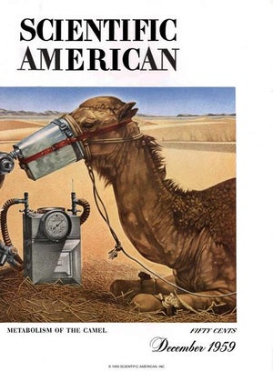 Scientific American Magazine Vol 201 Issue 6