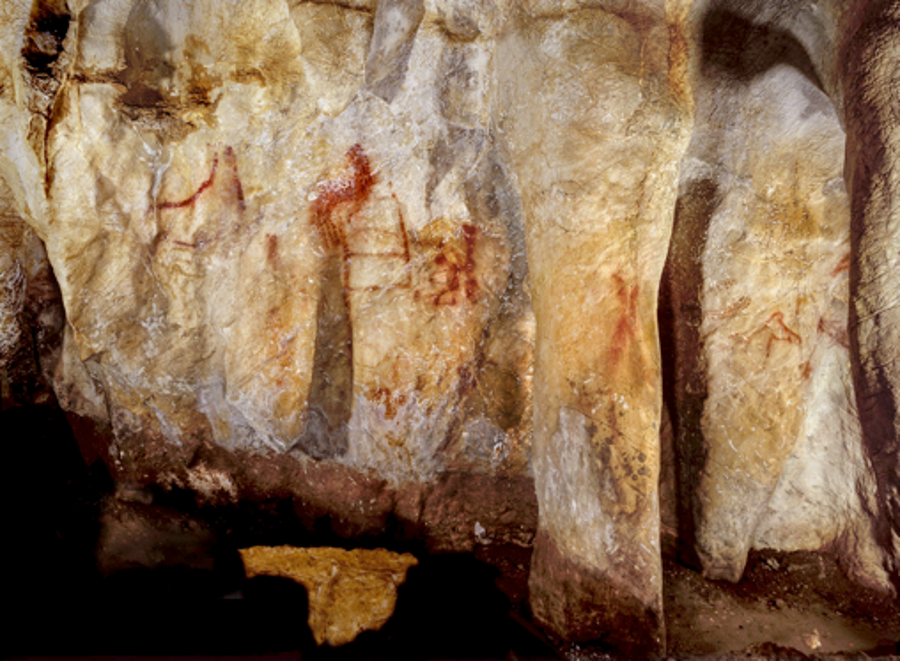 Ancient Cave Paintings Clinch The Case For Neandertal Symbolism 