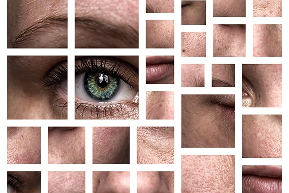 How We Save Face--Researchers Crack the Brain's Facial-Recognition Code